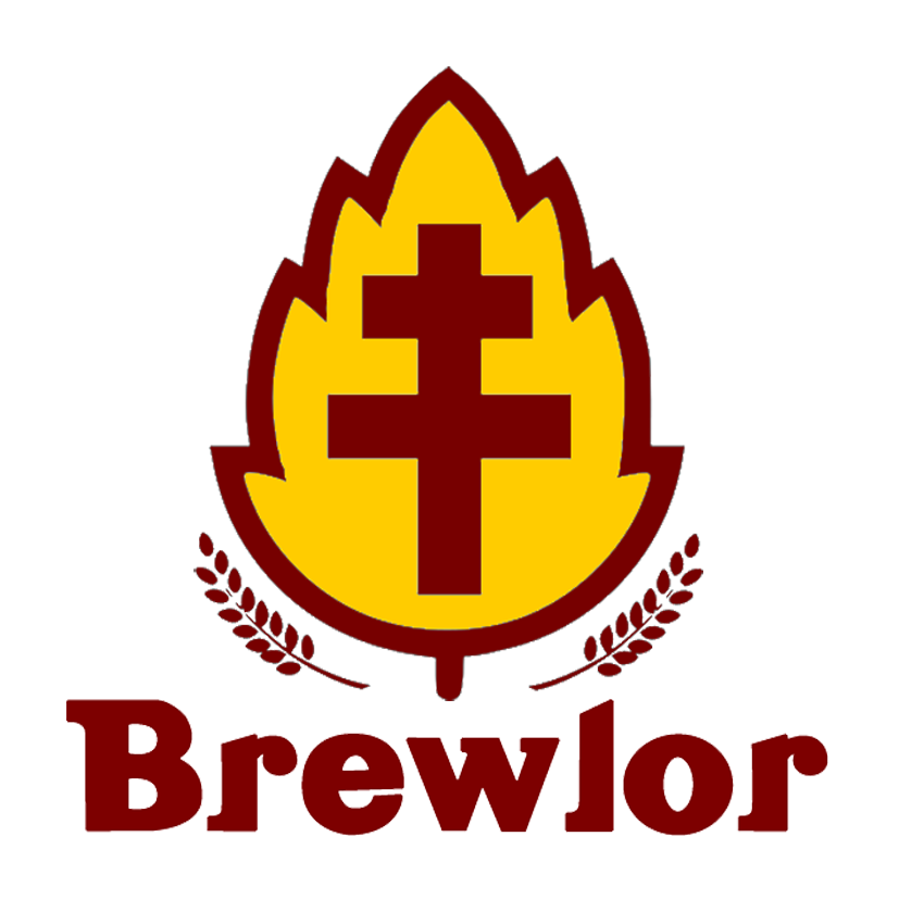 LOGO V COLOR CONTOUR BLANC